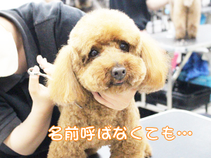 ☆カメラ目線特集☆